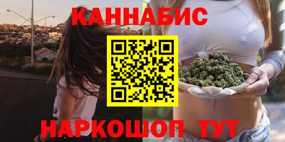 индика Нальчик