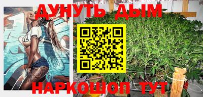 индика Нальчик