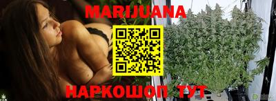 индика Нальчик