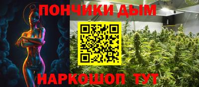 индика Нальчик
