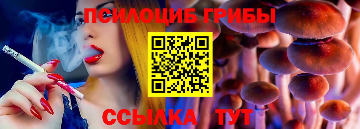 Галлюциногенные грибы прущие грибы  Вход с VPN  магазин    Псилоцибиновые грибы MAGIC MUSHROOMS  Туапсе 